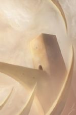 Click To View This Image