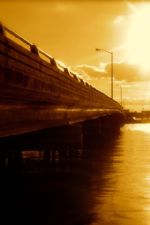 Click To View This Image