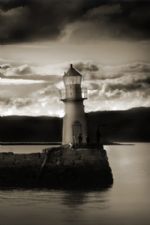 Click To View This Image