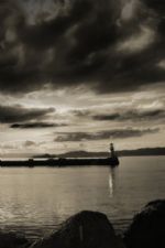 Click To View This Image