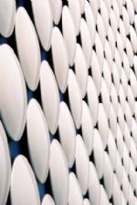 Click To View This Image