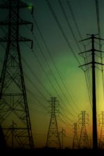 Click To View This Image