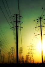 Click To View This Image