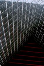 Click To View This Image