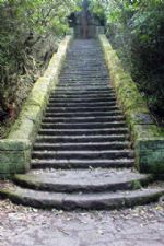 Click To View This Image