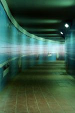 Click To View This Image