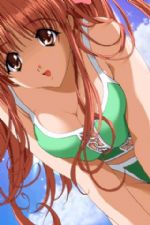 Click To View This Image