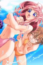 Click To View This Image