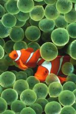 Click To View This Image