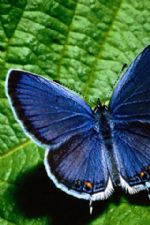 Click To View This Image