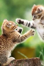 Click To View This Image