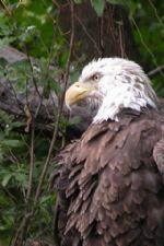 Click To View This Image