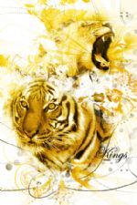 Click To View This Image