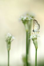 Click To View This Image