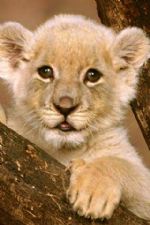 Click To View This Image