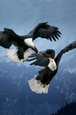 Click To View This Image