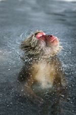 Click To View This Image