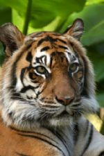 Click To View This Image