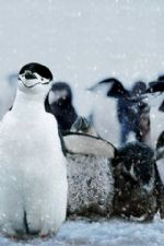 Click To View This Image