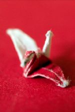 Click To View This Image