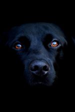 Click To View This Image