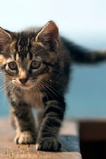 Click To View This Image