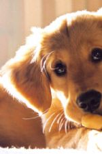 Click To View This Image