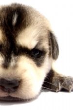 Click To View This Image