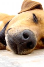 Click To View This Image