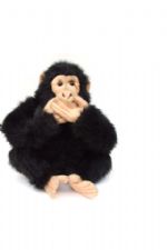 Click To View This Image