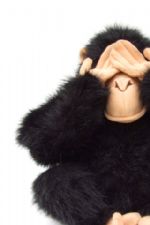 Click To View This Image