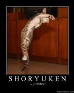 Click To View This Image