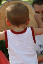 Click To View This Image