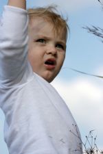 Click To View This Image