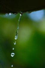 Click To View This Image