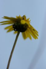 Click To View This Image