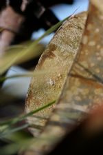 Click To View This Image