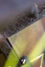 Click To View This Image